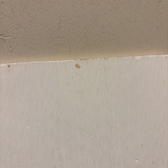 珪藻土マット　10月処分予定
の画像