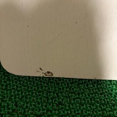 珪藻土マット　10月処分予定
の画像