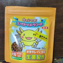 ウーパールーパーのご飯