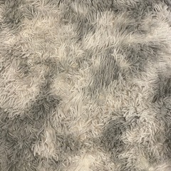 カーペット
