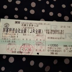 青春18きっぷ 1回分　9/10まで 18切符