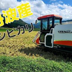新米