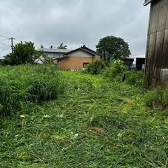 草刈り　剪定やります