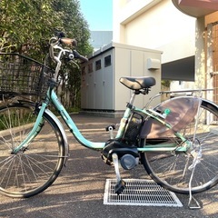 ペレズクレンジングモアナ