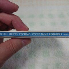 ♠　Get Wild Meets Techno Style Dave Rodgers (ロジャース デイブ) 　ジュリアナサウンドのTMNカヴァー集。の画像