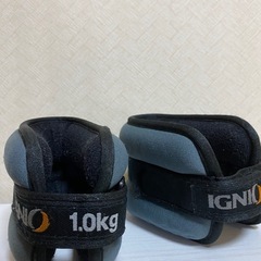 アンクルウェイトリストウェイト1kg×2個