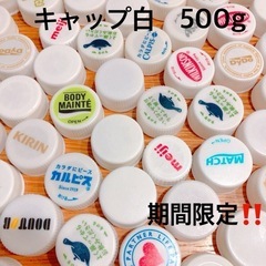 夏休み　自由研究　ペットボトルキャップ　白色系　500g まとめ売り