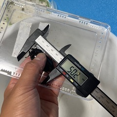 香川県オオクワガタ⑥の画像