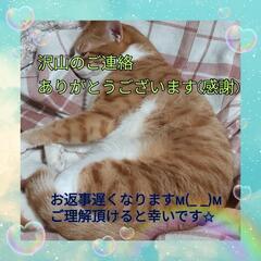 共感してもらえる📩仲間?欲しいです。 - 綾歌郡