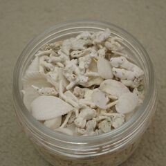 【無料】サイパンのサンゴと砂の画像