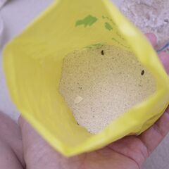 【無料】サイパンのサンゴと砂の画像