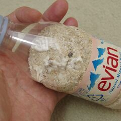 【無料】サイパンのサンゴと砂の画像