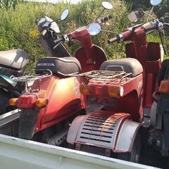 スクーター×４の画像