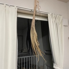 月桃