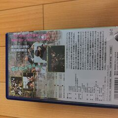 映画「青春デンデケデケデケ」（１９９２年）ＶＨＳテープの画像