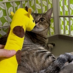 公園で人気者だった寅子1〜2才