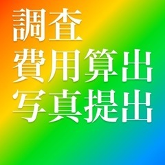 新感覚テレビ電話調査！屋根の上の多田！ - 館林市