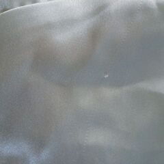 ミントブルーのきらきら光沢ブラウス  半袖の画像