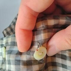 Miss ALICE きらきら光沢シャツ 半袖の画像