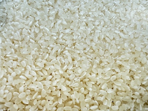 令和6年 新米 玄米　静岡産コシヒカリ