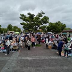 あいち健康の森公園フリマ　R6年11月