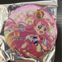 ワンダルプリキュアの画像