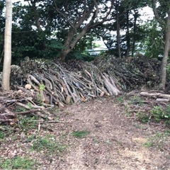 生活雑貨 家庭用品 ガーデニングの画像