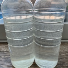 めだかの餌【ゾウリムシ】