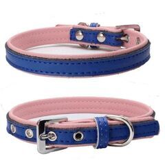 大型犬ワンちゃん首輪/ブルー2XL（新品）の画像