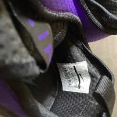 フットスケープの画像