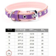 大型犬ワンちゃん首輪/パープル2XL（新品）の画像
