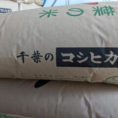 令和6年産千葉県産コシヒカリ30キロの画像