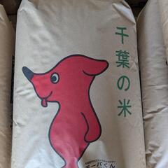 令和6年産千葉県産コシヒカリ30キロ