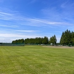 草野球の試合、楽しいイベント一緒に撮影 - 友達