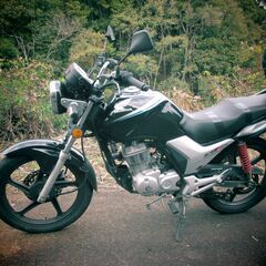 ホンダ　CBF125　中華バイク