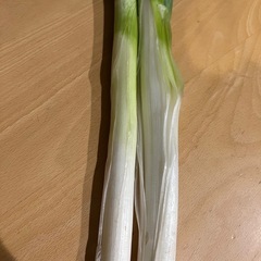 受け渡し者【決定】⑤北海道産　長ねぎ3束セット！ほんのちょっと訳あり品の画像
