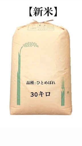 【新米】高梁市産R6年 ひとめぼれ 30kg②