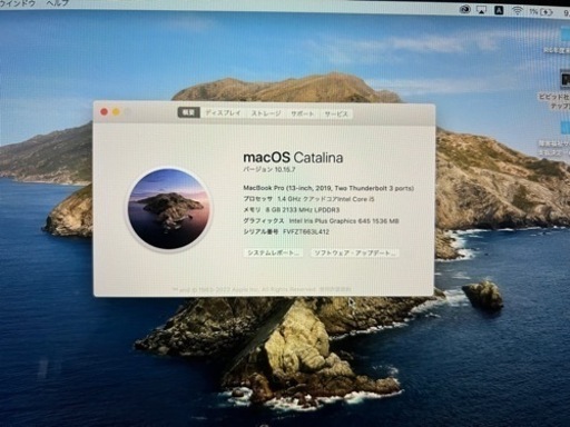 【美品】MacBook Pro 13.3-inch Mid 2019 MUHP2J/A Core_i5 1.4GHz 8GB SSD256GB シルバー