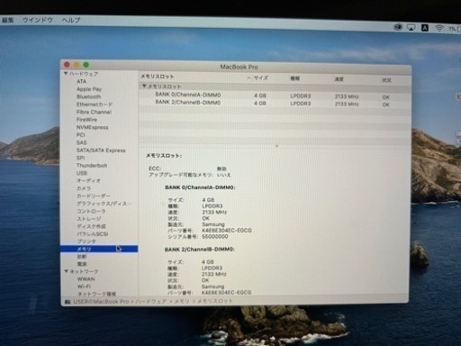 【美品】MacBook Pro 13.3-inch Mid 2019 MUHP2J/A Core_i5 1.4GHz 8GB SSD256GB シルバー