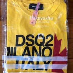 ご自宅まで配送0円🉑使用感ありディースクTシャツ高級クリーニング済の画像