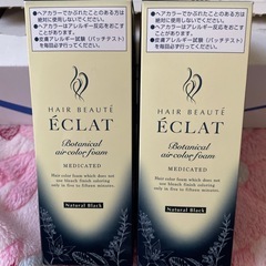 ヘアボーテ　ボタニカル 専用です 価格変更しました 取り扱い販売店】ヘアボーテエクラボタニカルエアカラーフォーム
