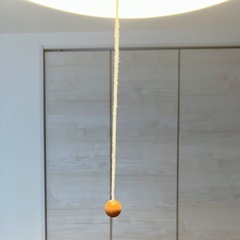 家具 照明器具　6畳  ルームライト 木目調 灯りの画像