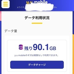 y.u.mobile 音声通話SIM 90GBの画像