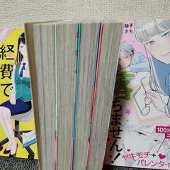 これは経費で落ちません　6巻までの画像