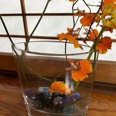 花瓶　花卉　フラワーベース　flower vase フランフラン...