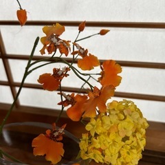 花瓶　花卉　フラワーベース　flower vase フランフラン　敷石付き　②の画像