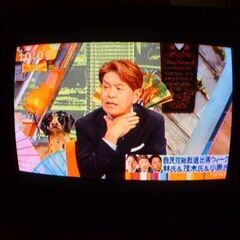 ブラウン管テレビ20インチと地デジチューナーセットの画像