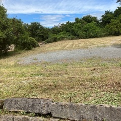 草刈り樹木伐採剪定藪刈り造園の画像