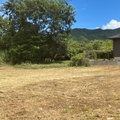 草刈り樹木伐採剪定藪刈り造園の画像