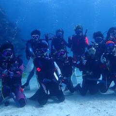 ★一緒にスキューバ　ダイビングしましょう★の画像